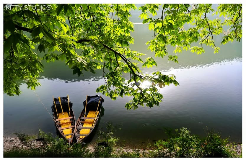 465145338_8757512400972878_3030696916683834929_n